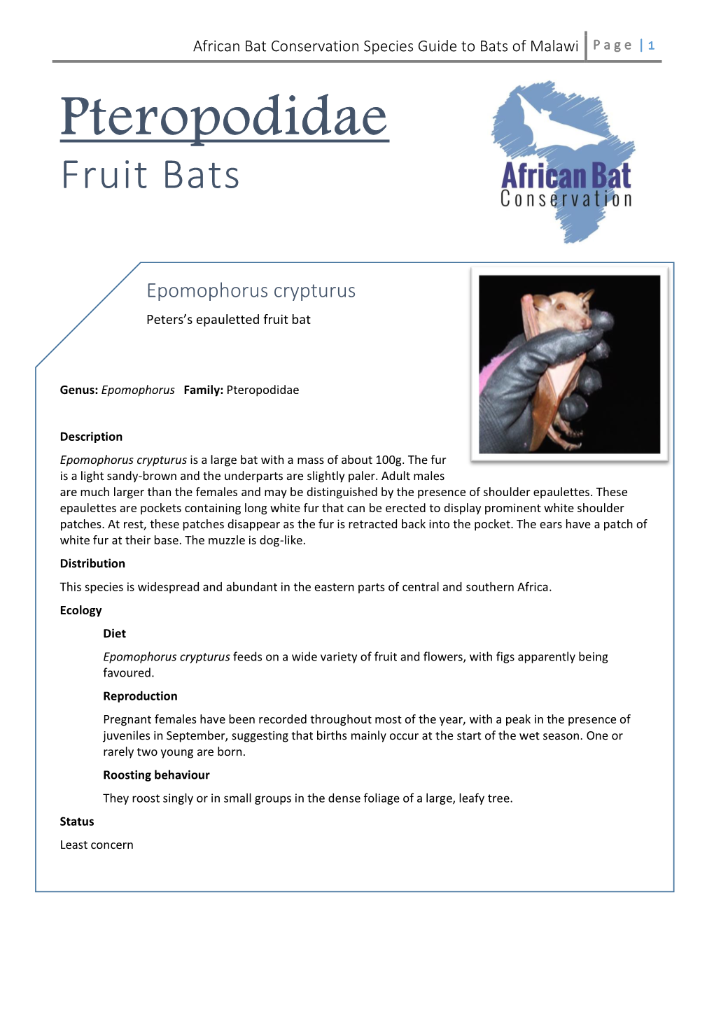 African Bat Conservation Species Guide to Bats of Malawi P a G E | 1