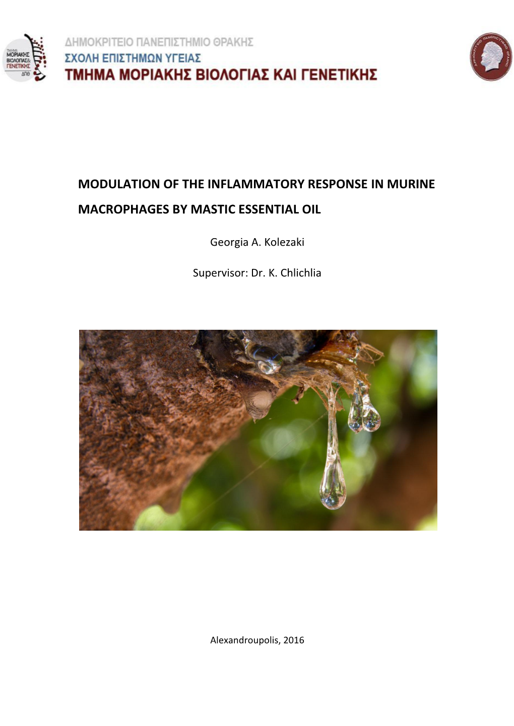 Modulation of the Inflammatory Response in Murine Macrophages by Mastic Essential Oil