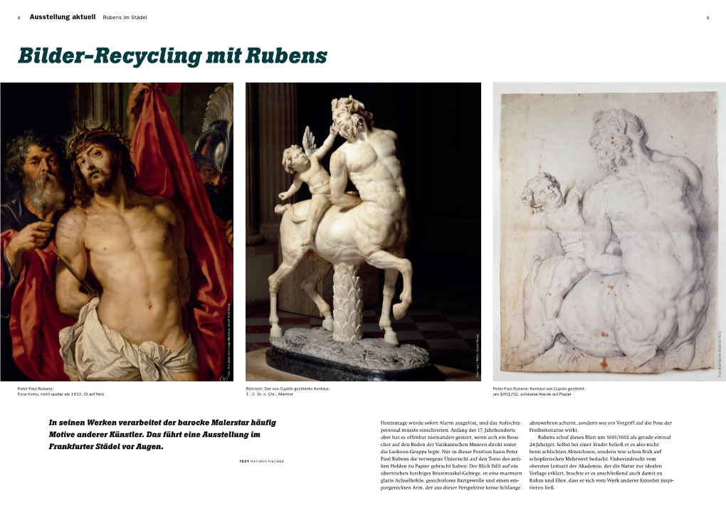 Bilder-Recycling Mit Rubens