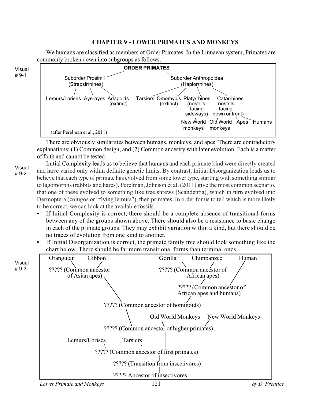 CHAPTER 9 - LOWER PRIMATES and MONKEYS We Humans Are Classified As Members of Order Primates