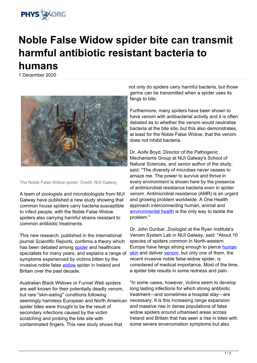 Noble False Widow Spider Bite Can Transmit Harmful Antibiotic Resistant Bacteria to Humans 1 December 2020