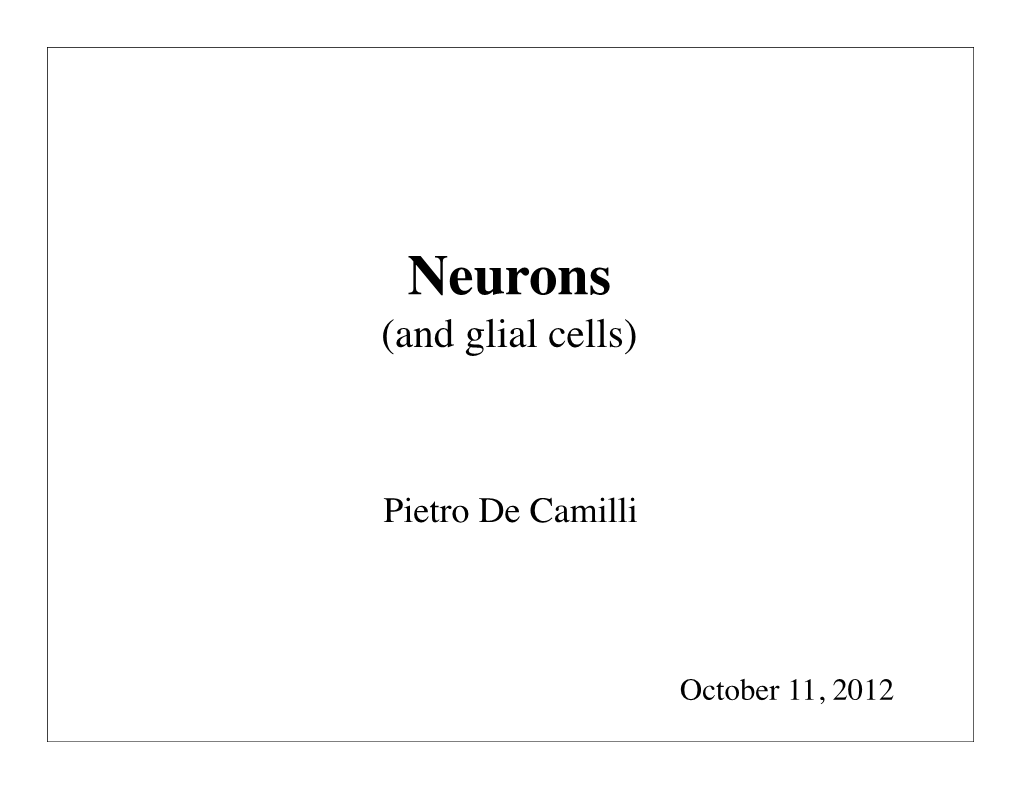 Neurons (And Glial Cells)