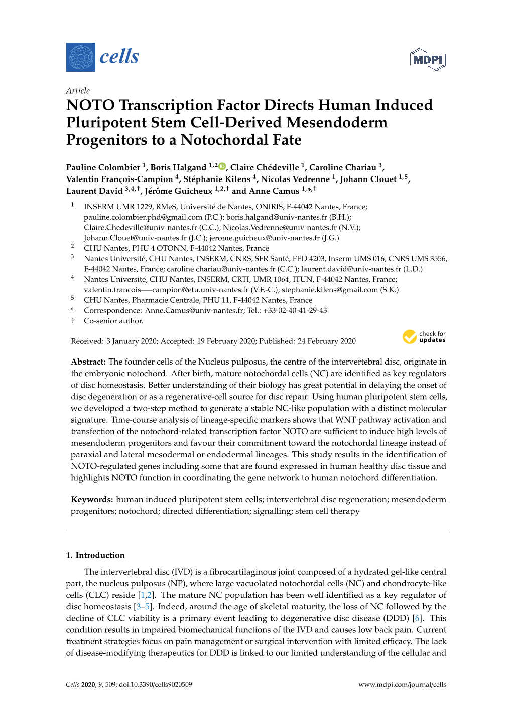 NOTO Transcription Factor Directs Human Induced Pluripotent Stem Cell-Derived Mesendoderm Progenitors to a Notochordal Fate