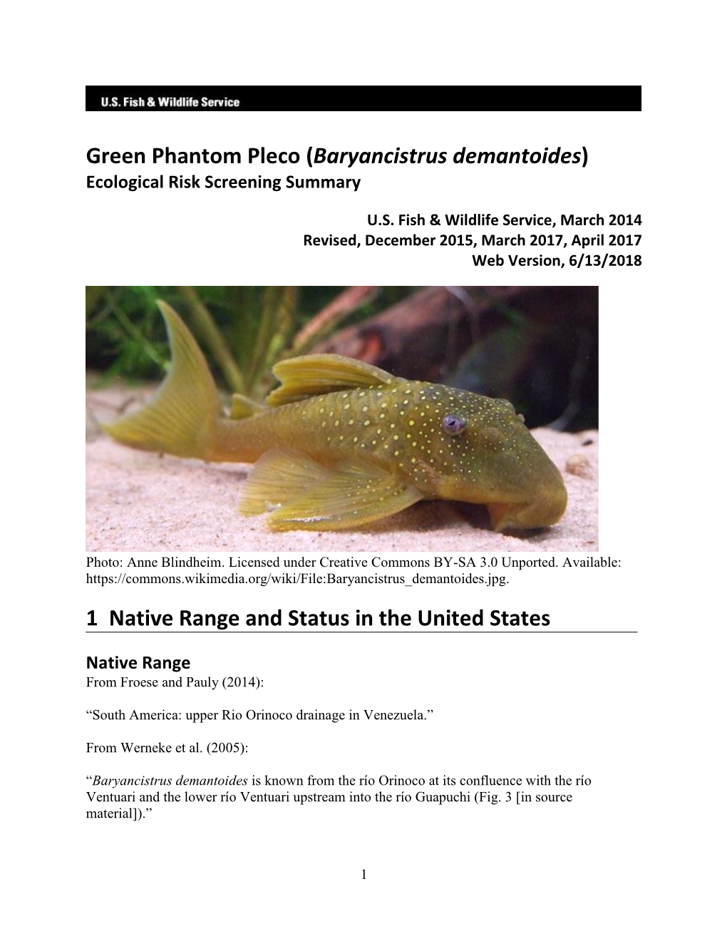 Green Phantom Pleco (Baryancistrus Demantoides) Ecological Risk Screening Summary