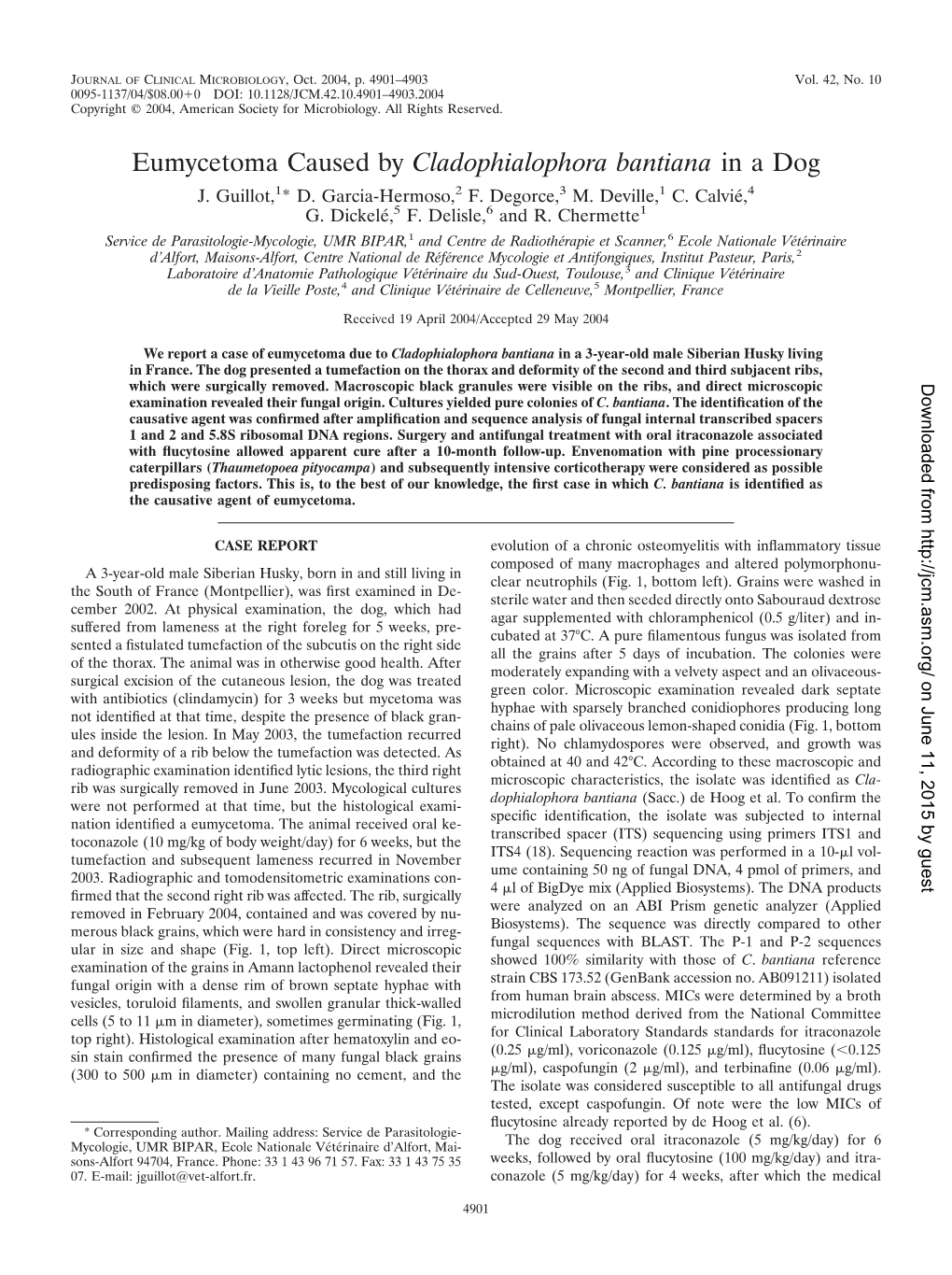 Eumycetoma Caused by Cladophialophora Bantiana in a Dog J