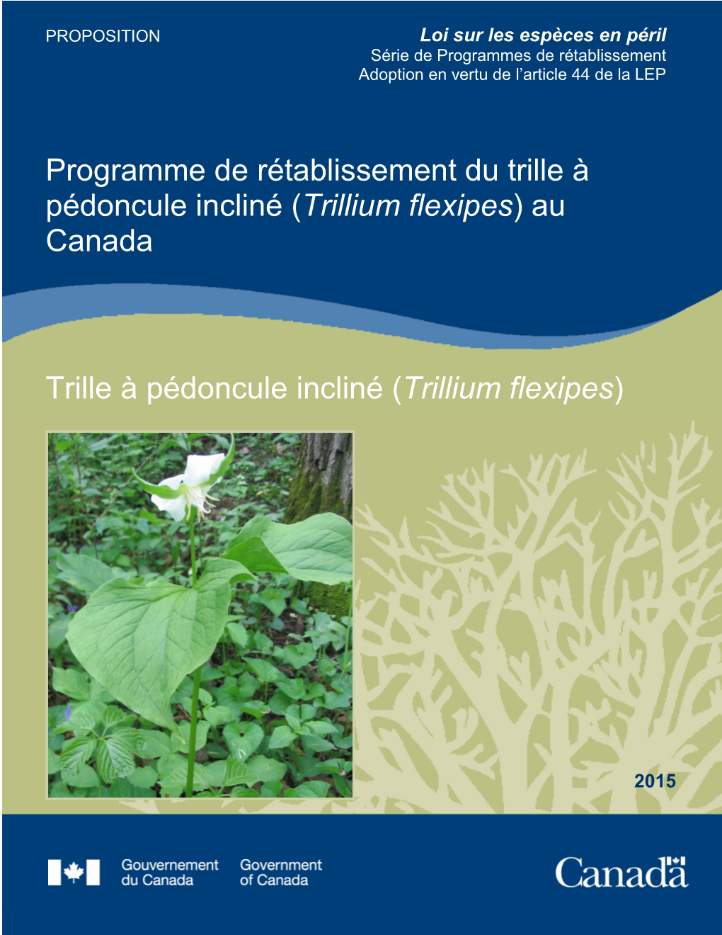 Trille À Pédoncule Incliné (Trillium Flexipes) Au Canada