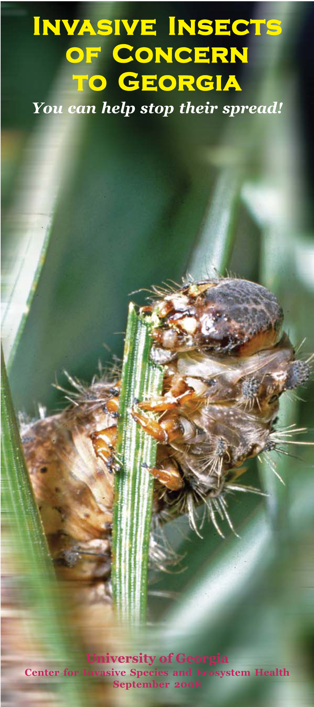 Invasive Insects E Insects of Concern to Georgia