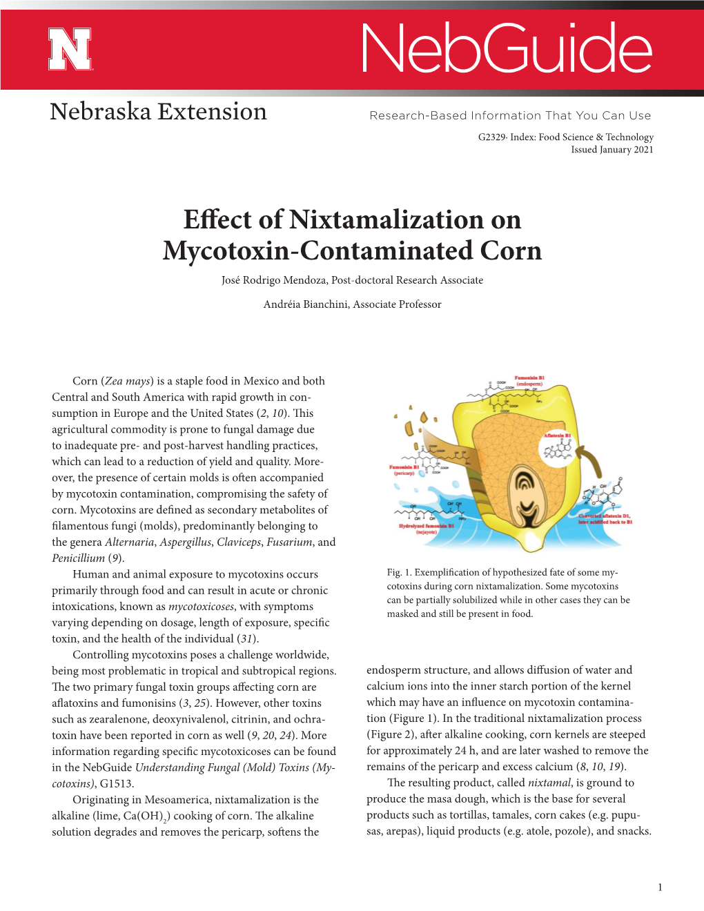 Effect of Nixtamalization on Mycotoxin-Contaminated Corn