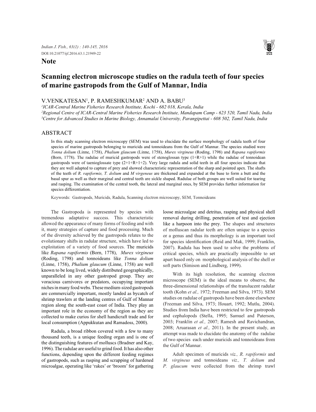 Note Scanning Electron Microscope Studies on the Radula Teeth of Four