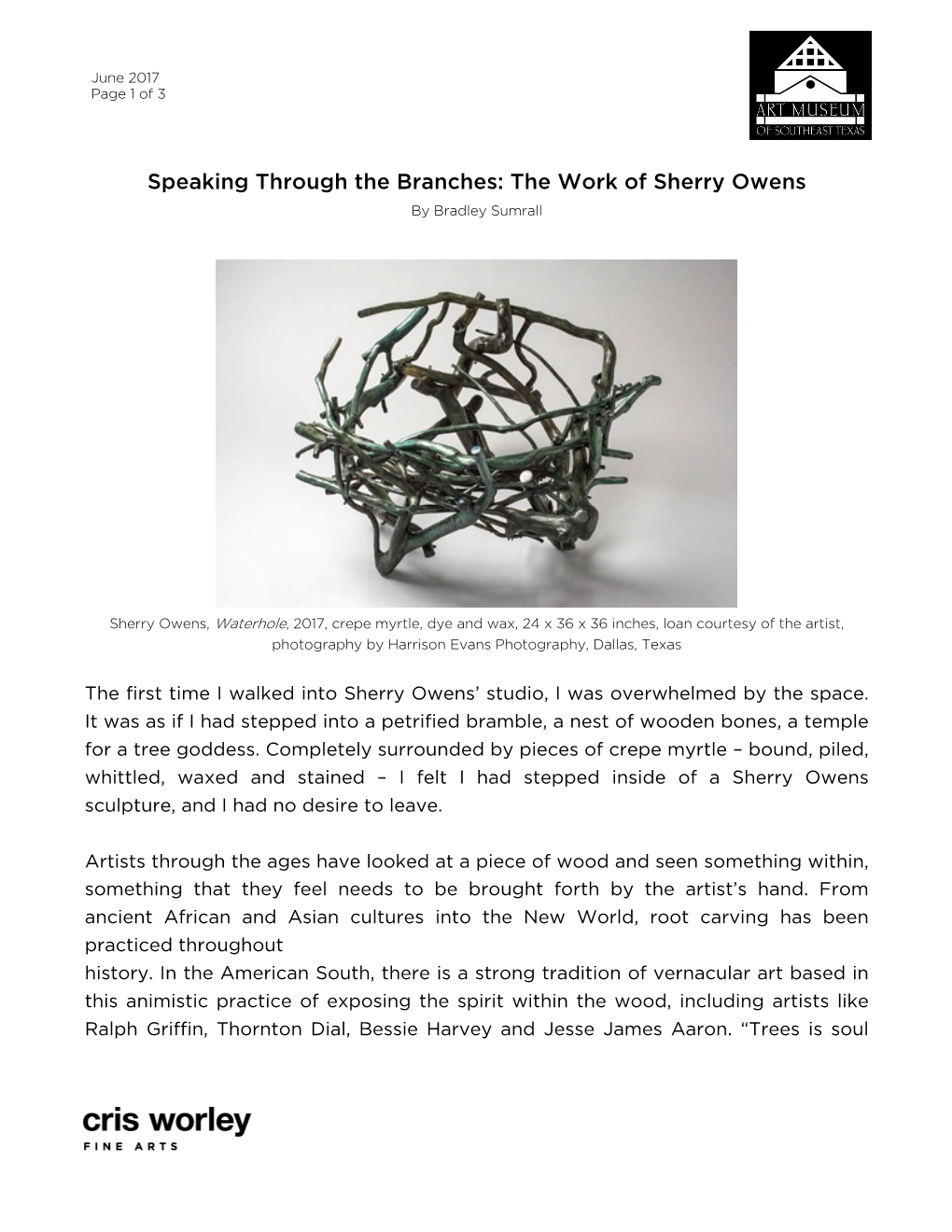 Speaking Through the Branches: the Work of Sherry Owens by Bradley Sumrall