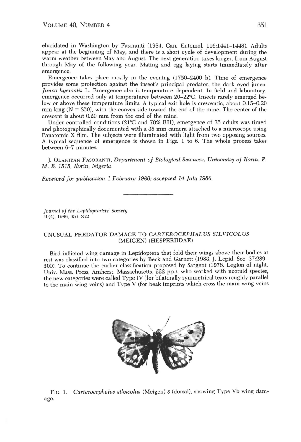 Unusual Predator Damage to Carterocephalus Silvicolus (Meigen) (Hesperiidae)