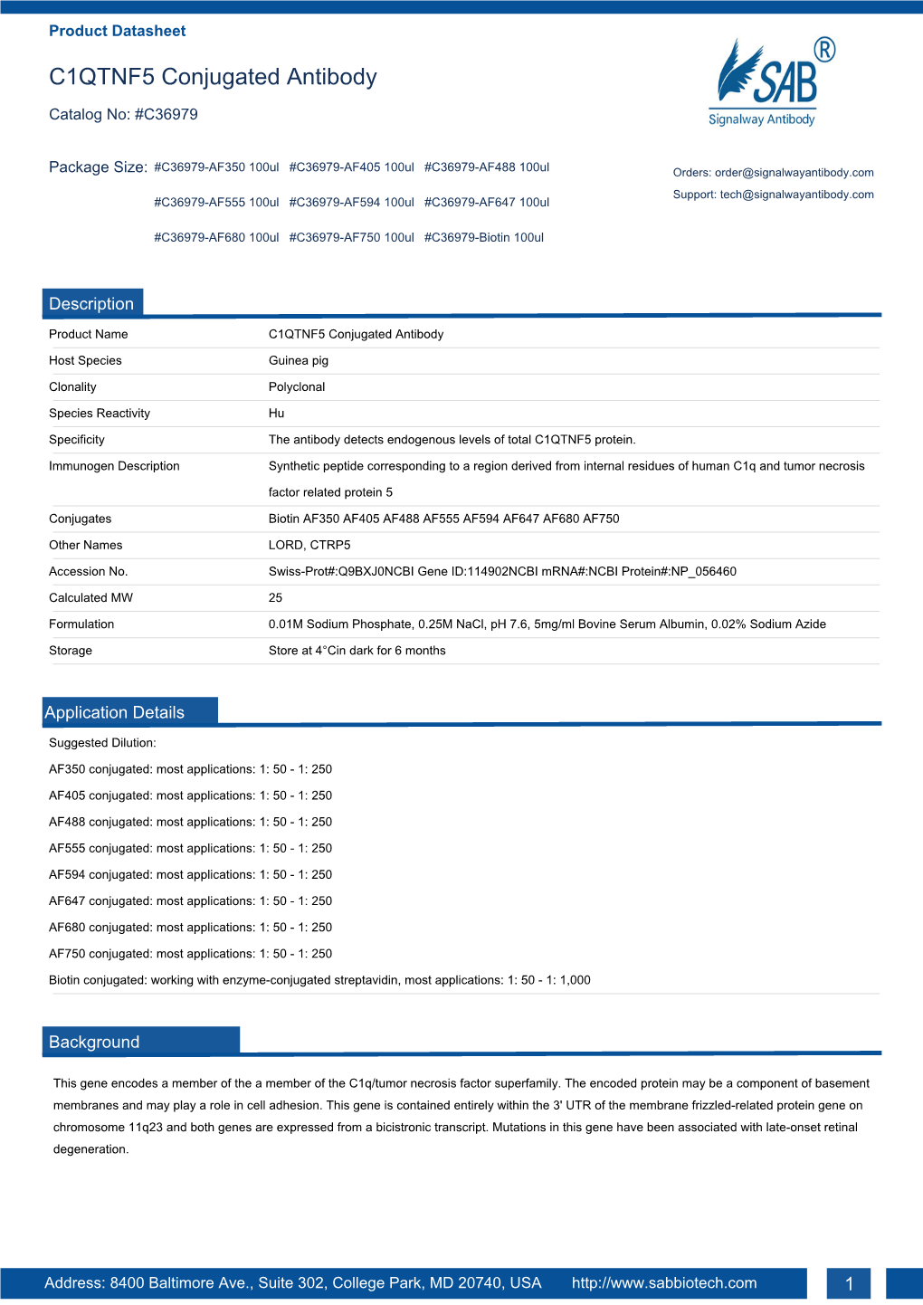 C1QTNF5 Conjugated Antibody