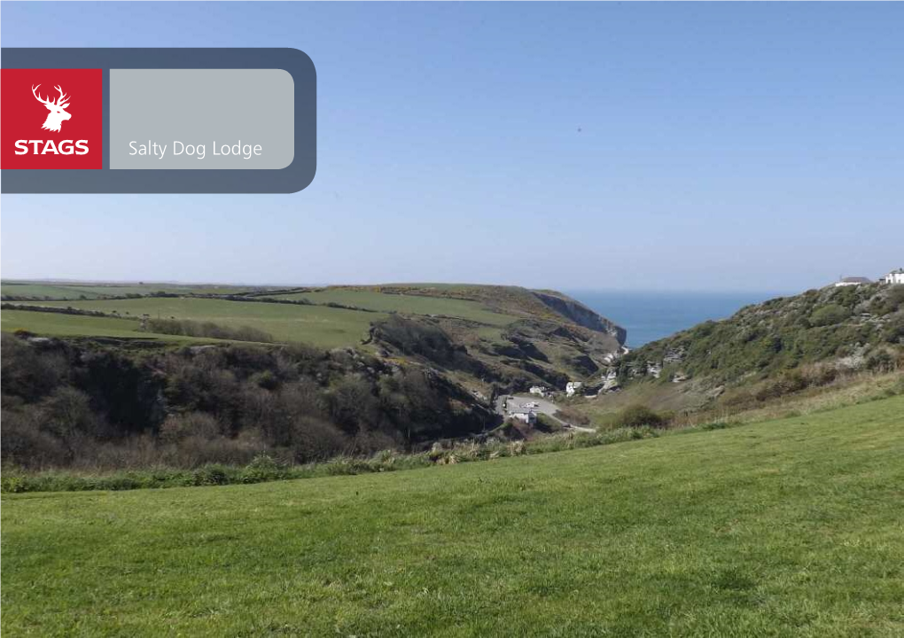 Salty Dog Lodge Salty Dog Lodge Trelake Lane, Treknow, Tintagel, PL34 0EW Tintagel 1 Mile Camelford (A39) 4 Miles Wadebridge 15 Miles