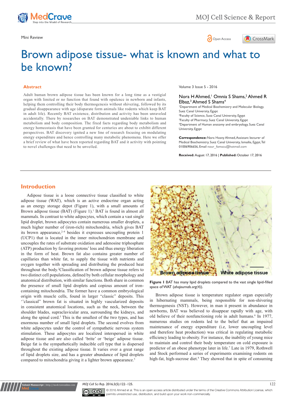 Brown Adipose Tissue- What Is Known and What to Be Known?