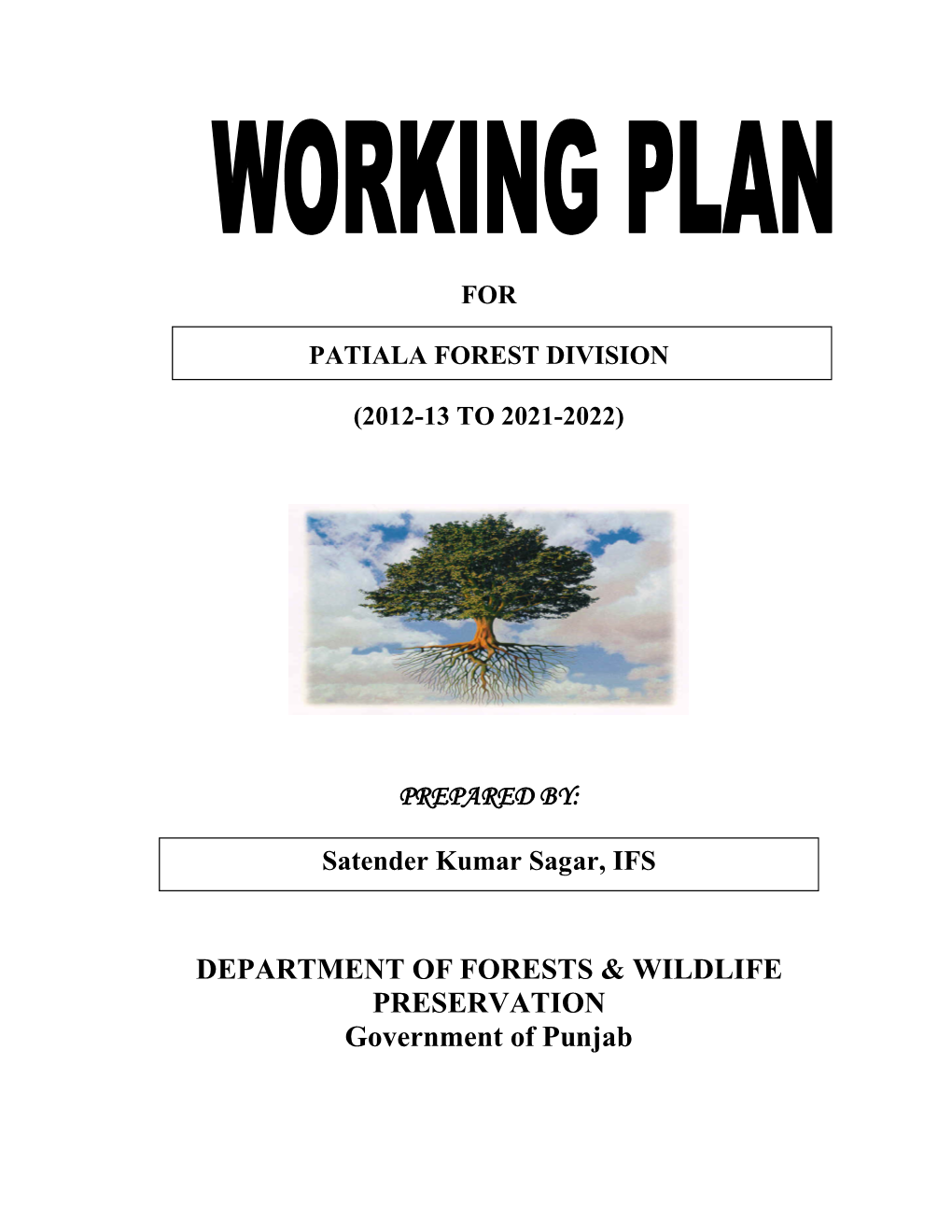 Working Plan of Patiala.Pdf