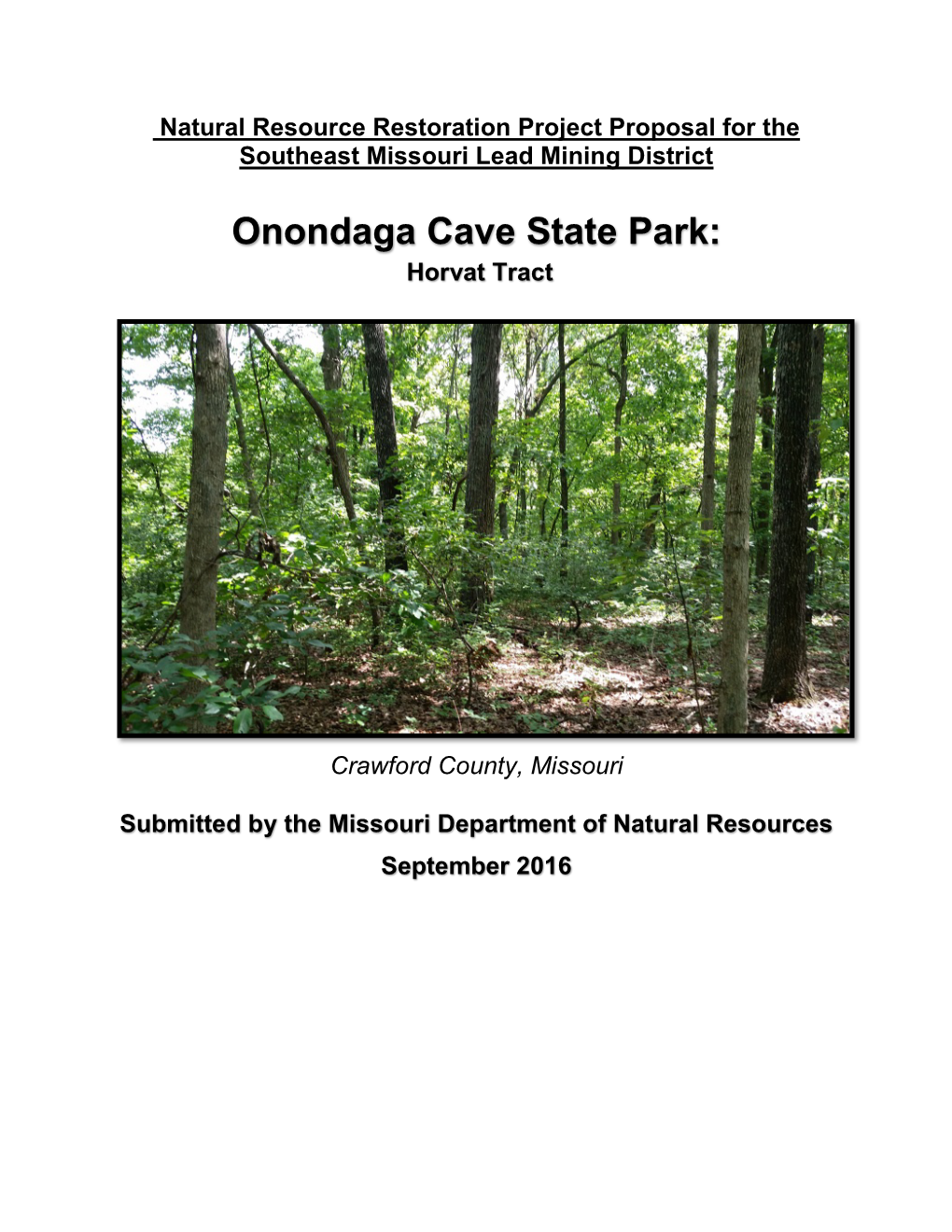 Onondaga Cave State Park: Horvat Tract