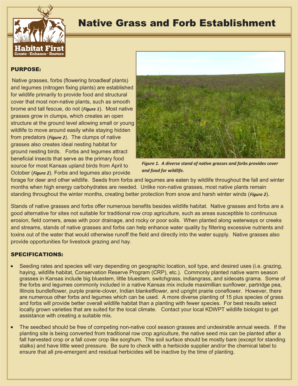 Native Grass and Forb Establishment