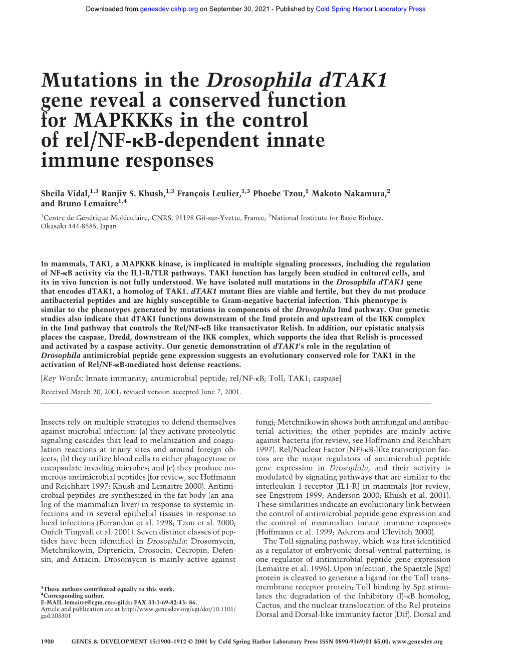 Mutations in the Drosophila Dtak1 Gene Reveal a Conserved Function for Mapkkks in the Control of Rel/NF-␬B-Dependent Innate Immune Responses