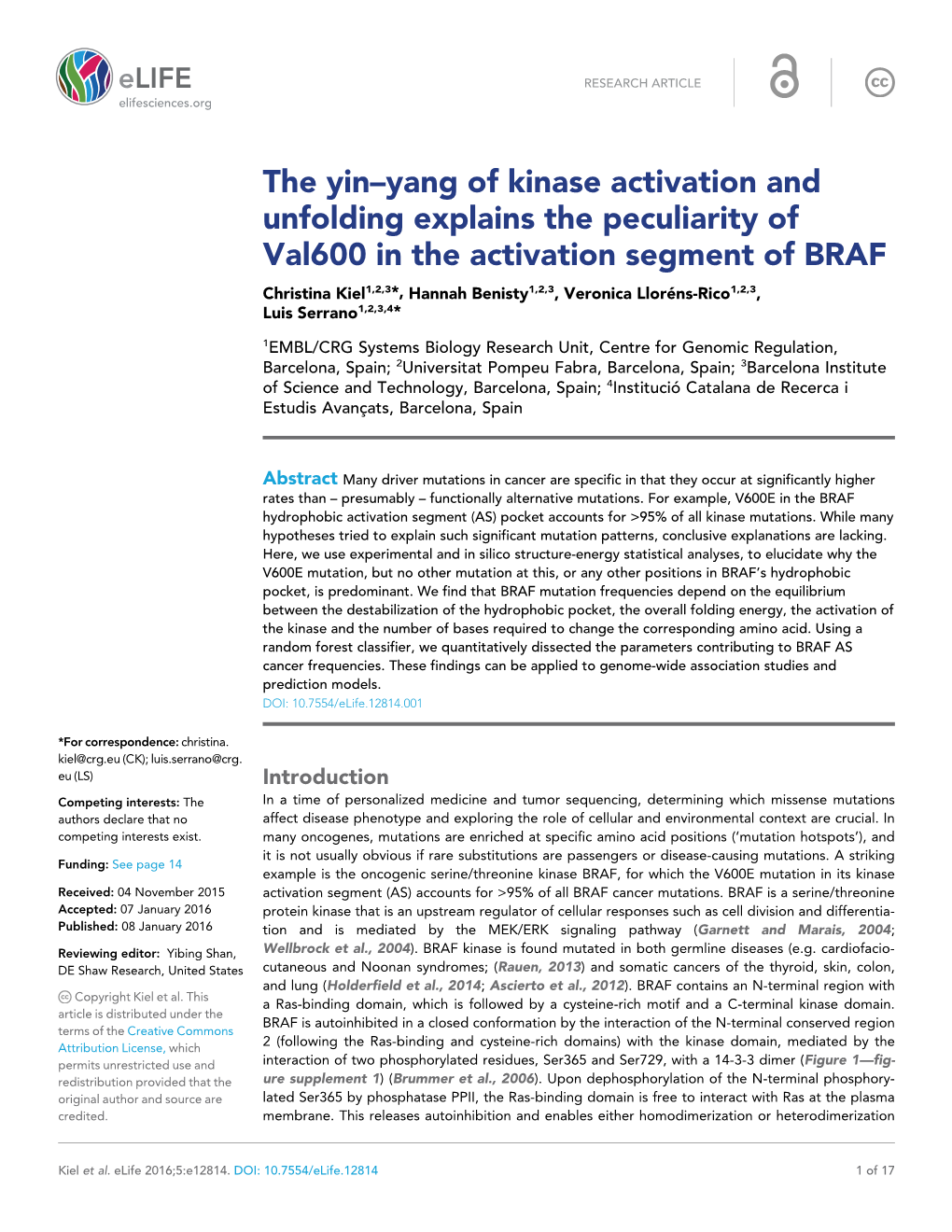 The Yin–Yang of Kinase Activation and Unfolding Explains the Peculiarity Of