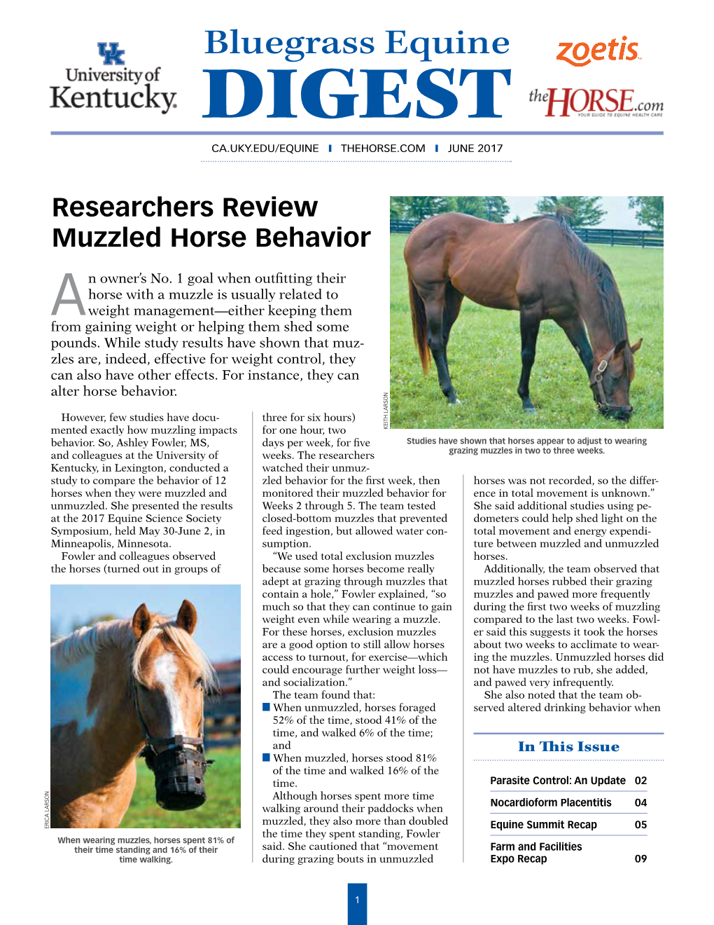 Researchers Review Muzzled Horse Behavior