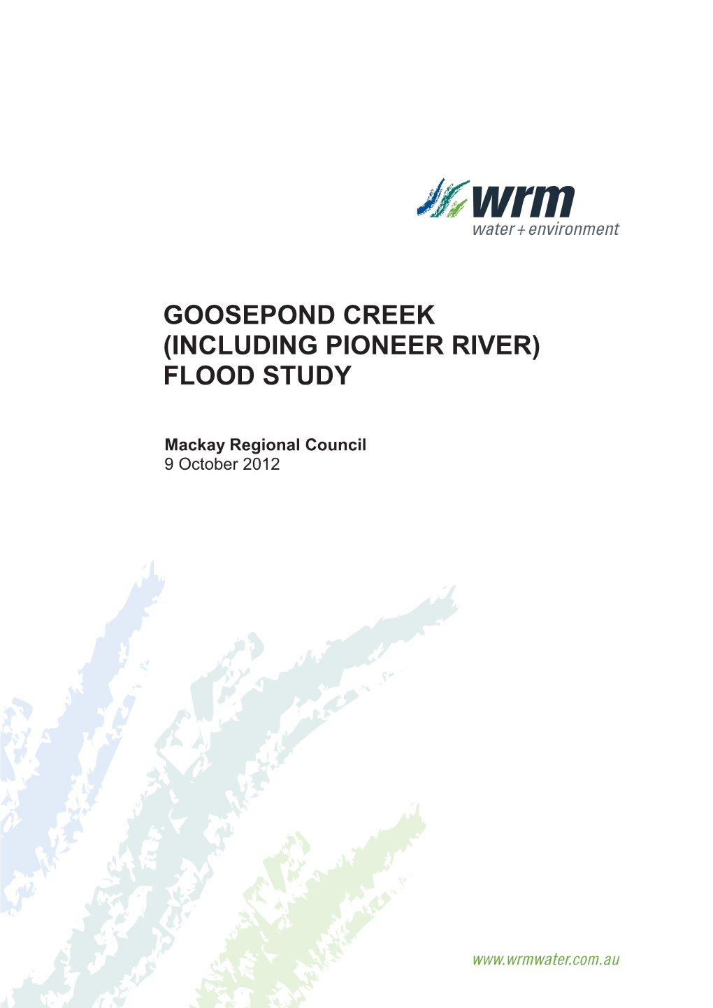 Goosepond Creek (Including Pioneer River) Flood Study