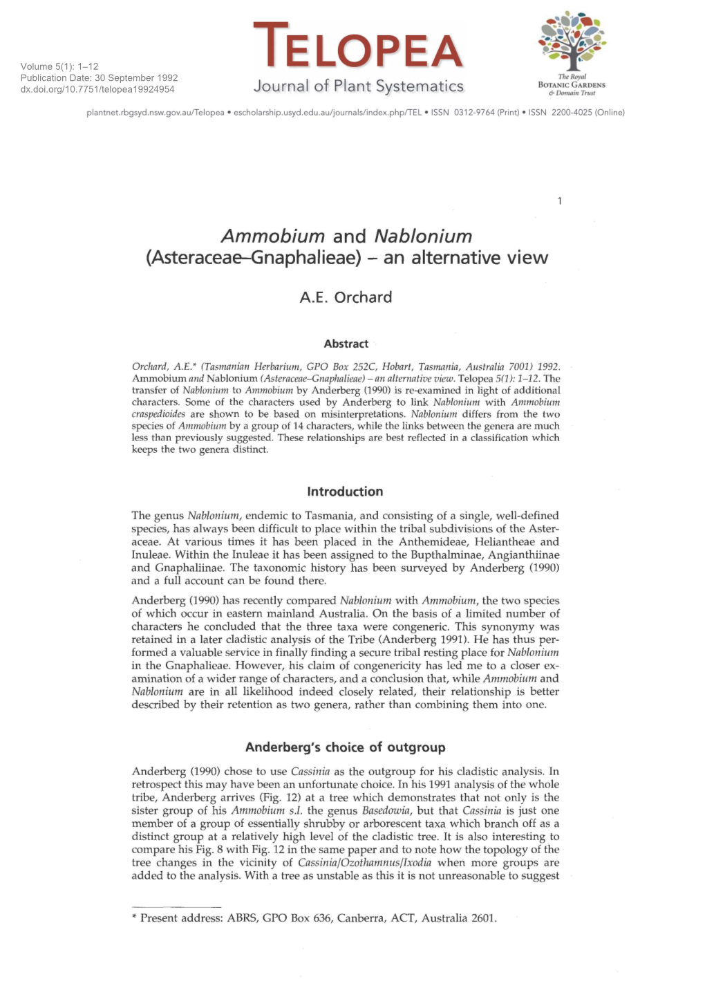 Ammobium and Nab/Onium (Asteraceae-Gnaphalieae) - an Alternative View