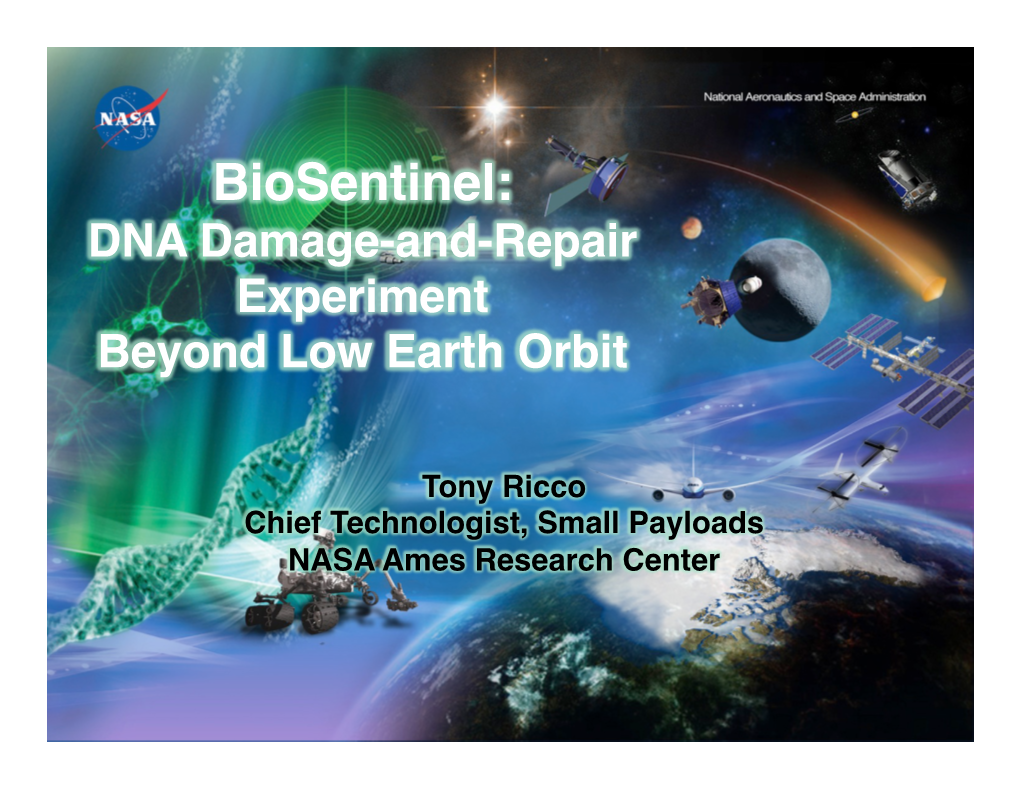 Biosentinel: ! DNA Damage-And-Repair Experiment ! Beyond Low Earth Orbit!