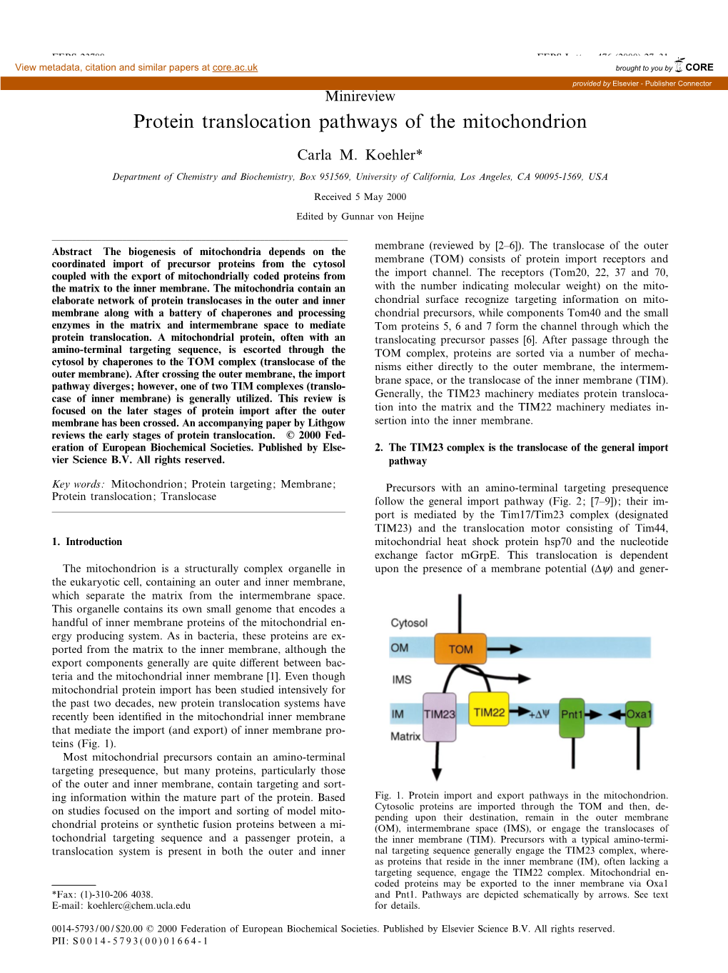 Protein Translocation Pathways of the Mitochondrion