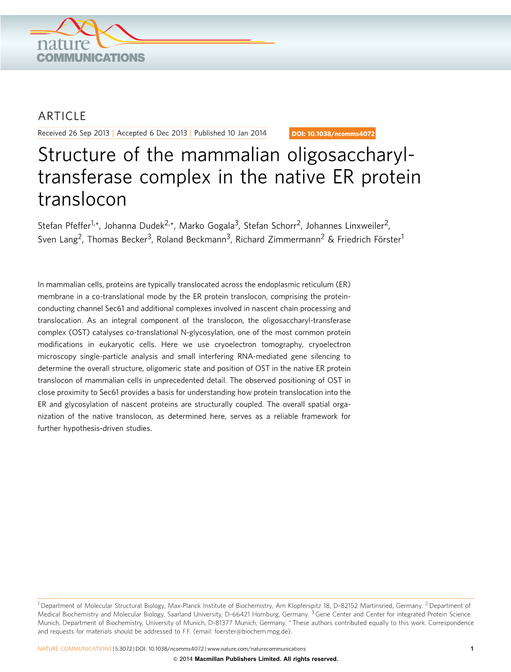 Structure of the Mammalian Oligosaccharyl-Transferase Complex