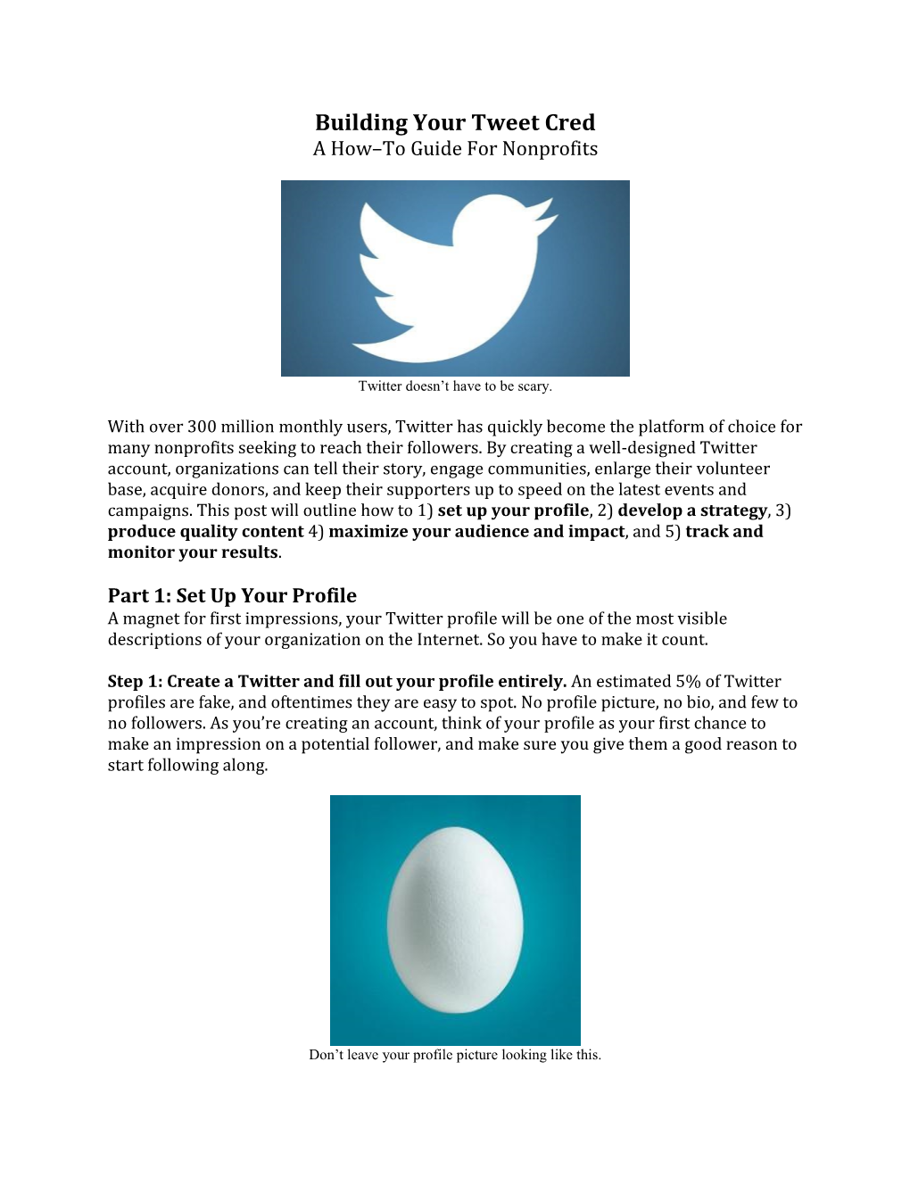 Building Your Tweet Cred a How–To Guide for Nonprofits