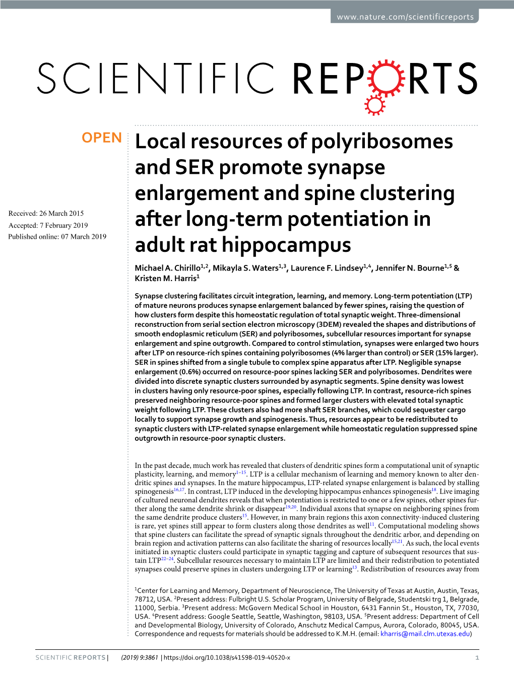 Local Resources of Polyribosomes and SER Promote Synapse