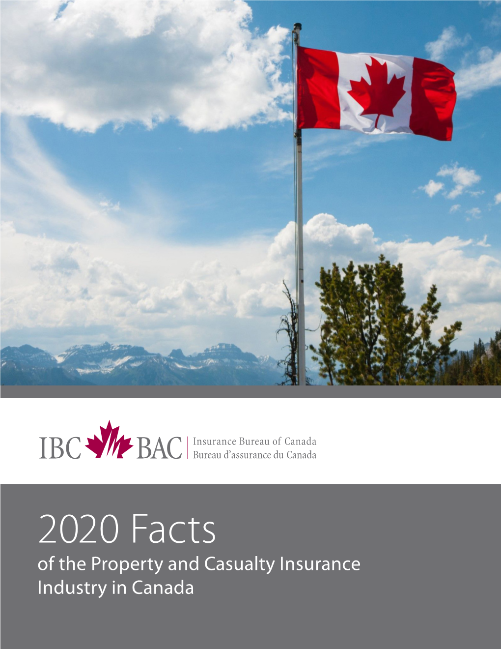 2020 Facts of the Property and Casualty Insurance Industry in Canada 2020 Facts of the Property and Casualty Insurance Industry in Canada