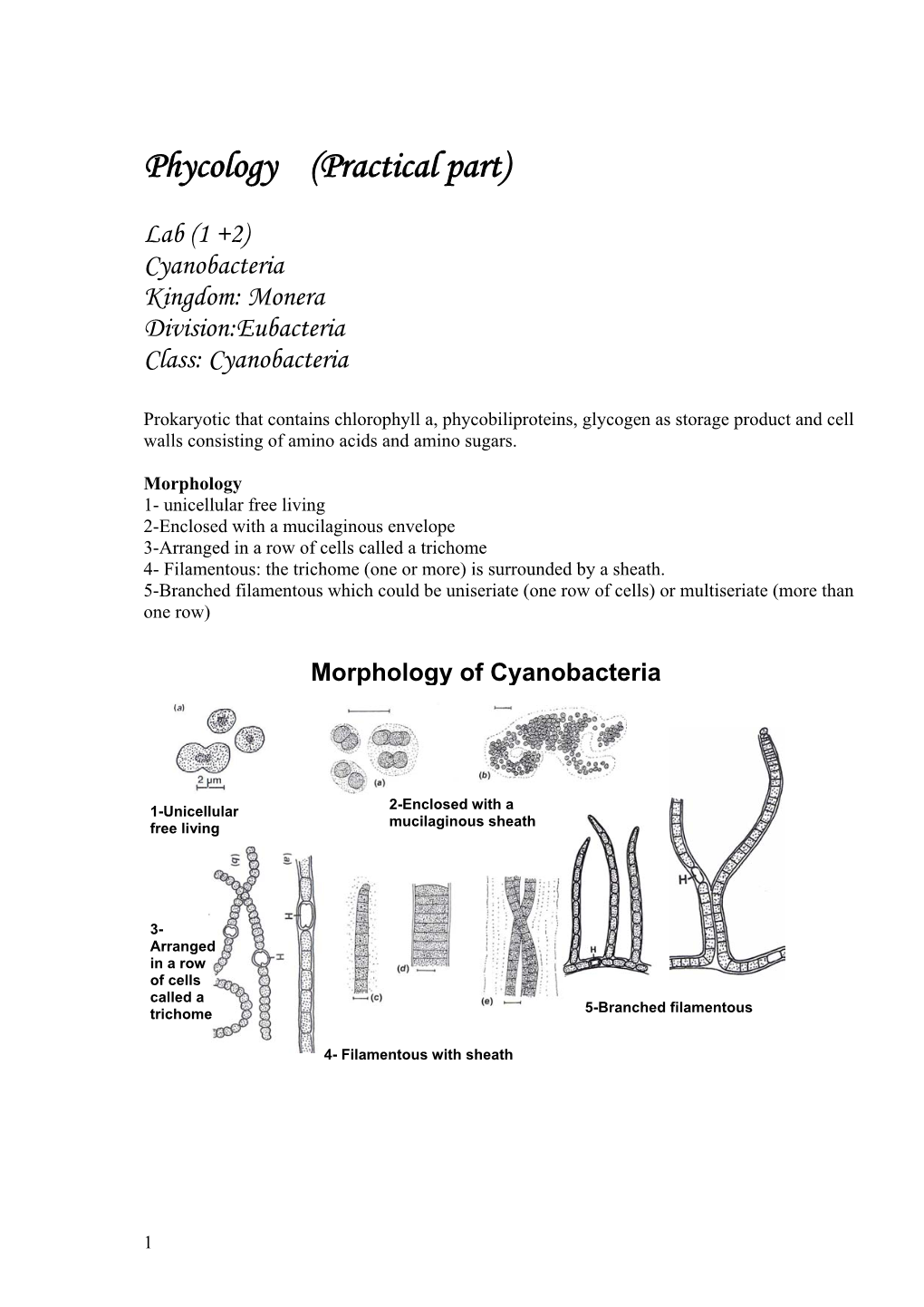 Phycology (Practical Part)