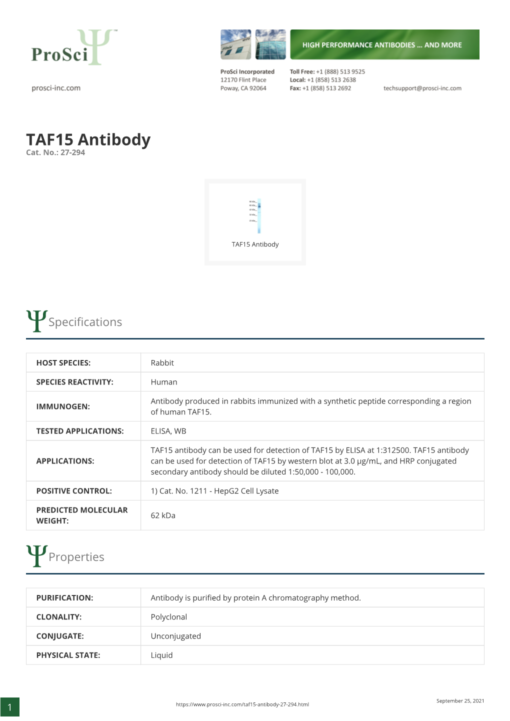 TAF15 Antibody Cat