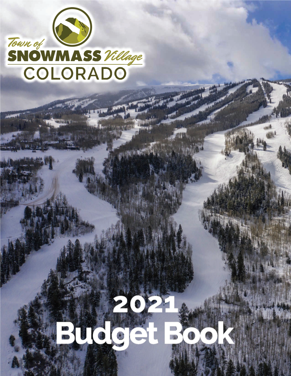 2021 Budget Book