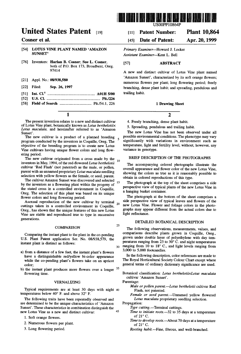 United States Patent (19) 11) Patent Number: Plant 10,864 Cosner Et Al