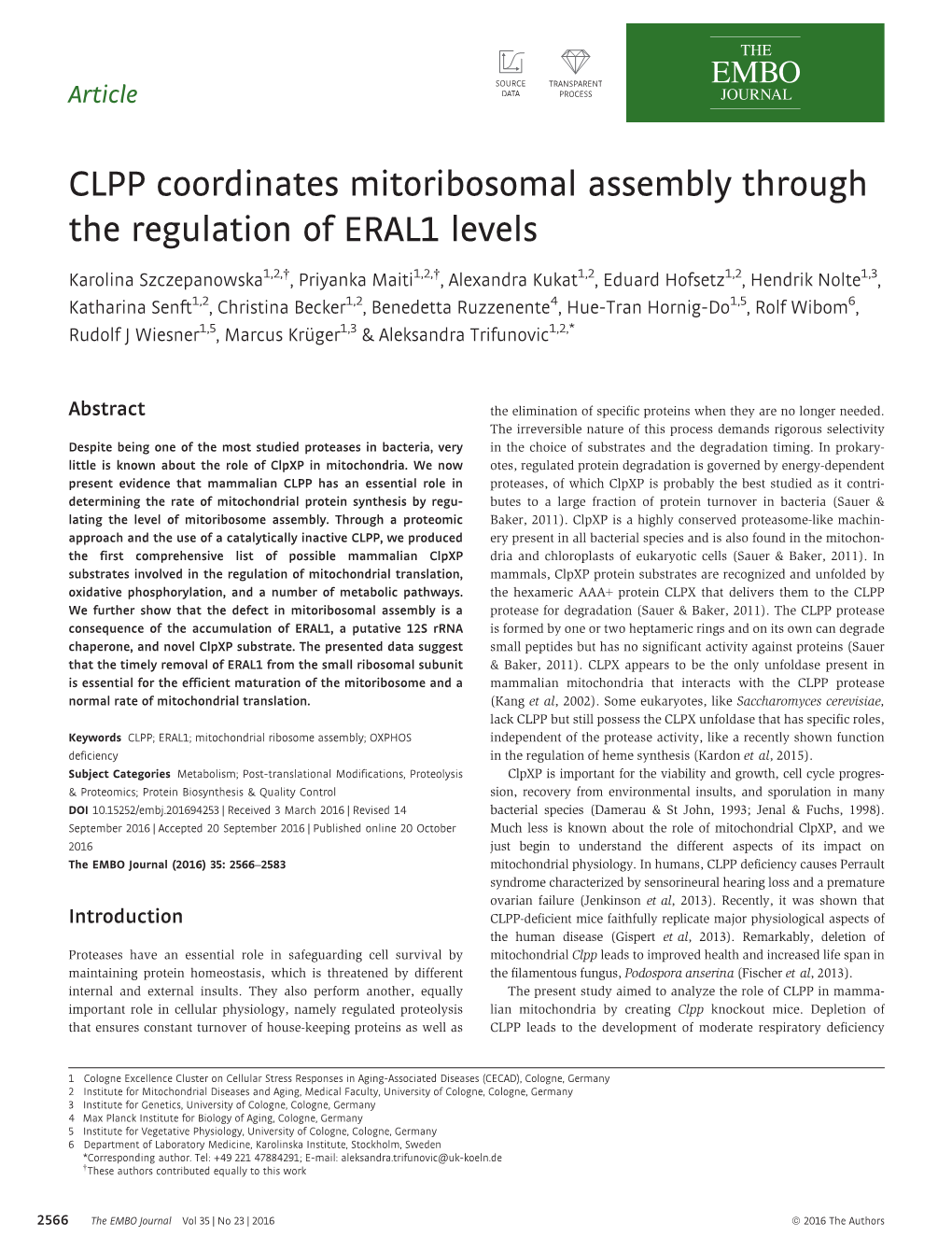 CLPP Coordinates Mitoribosomal Assembly Through the Regulation of ERAL1 Levels