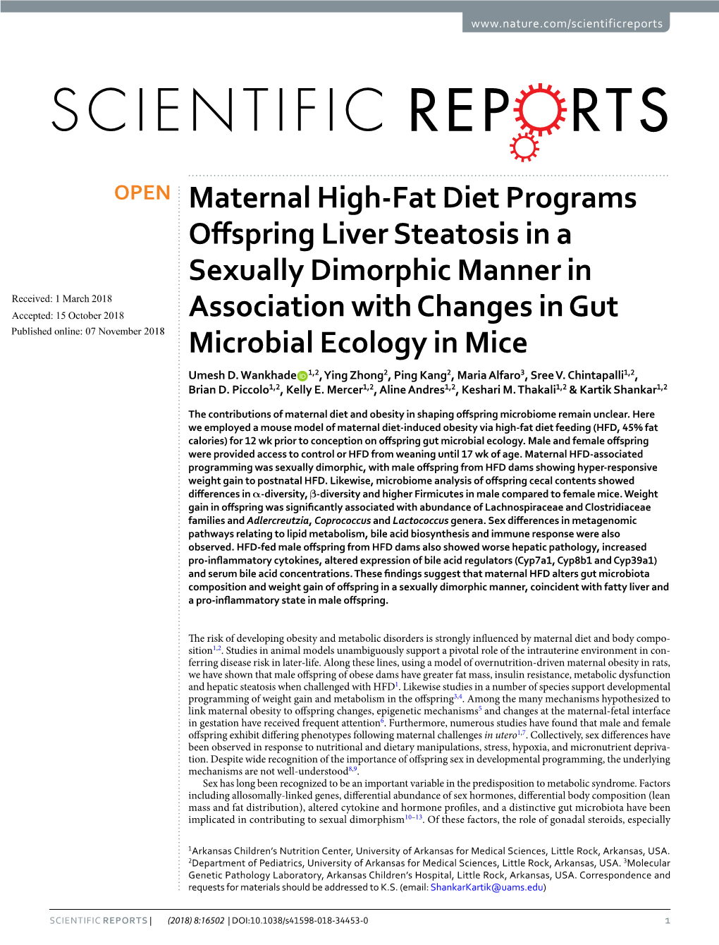 Maternal High-Fat Diet Programs Offspring Liver Steatosis in A