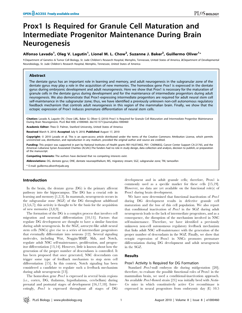 Prox1 Is Required for Granule Cell Maturation and Intermediate Progenitor Maintenance During Brain Neurogenesis