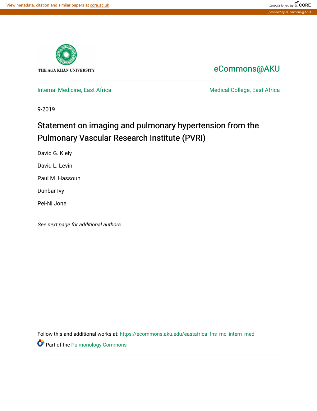 Statement on Imaging and Pulmonary Hypertension from the Pulmonary Vascular Research Institute (PVRI)