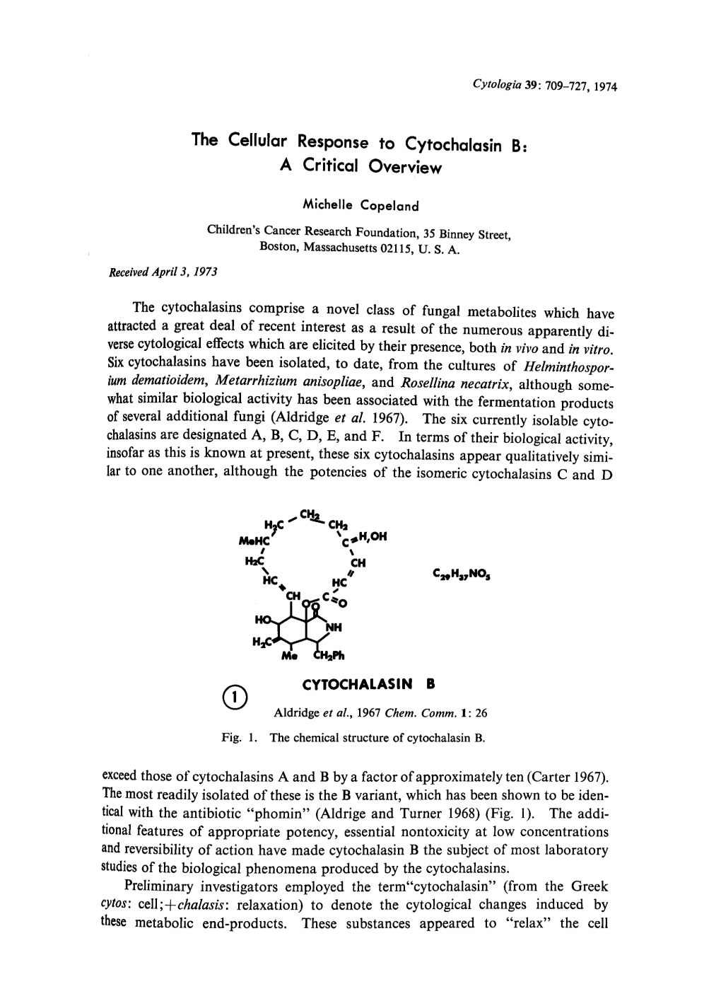 The Cellular Response to Cytochalasin B: a Critical Overview