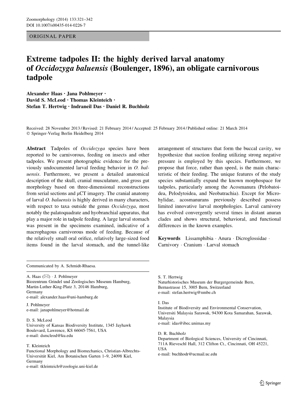 The Highly Derived Larval Anatomy of Occidozyga Baluensis (Boulenger, 1896), an Obligate Carnivorous Tadpole