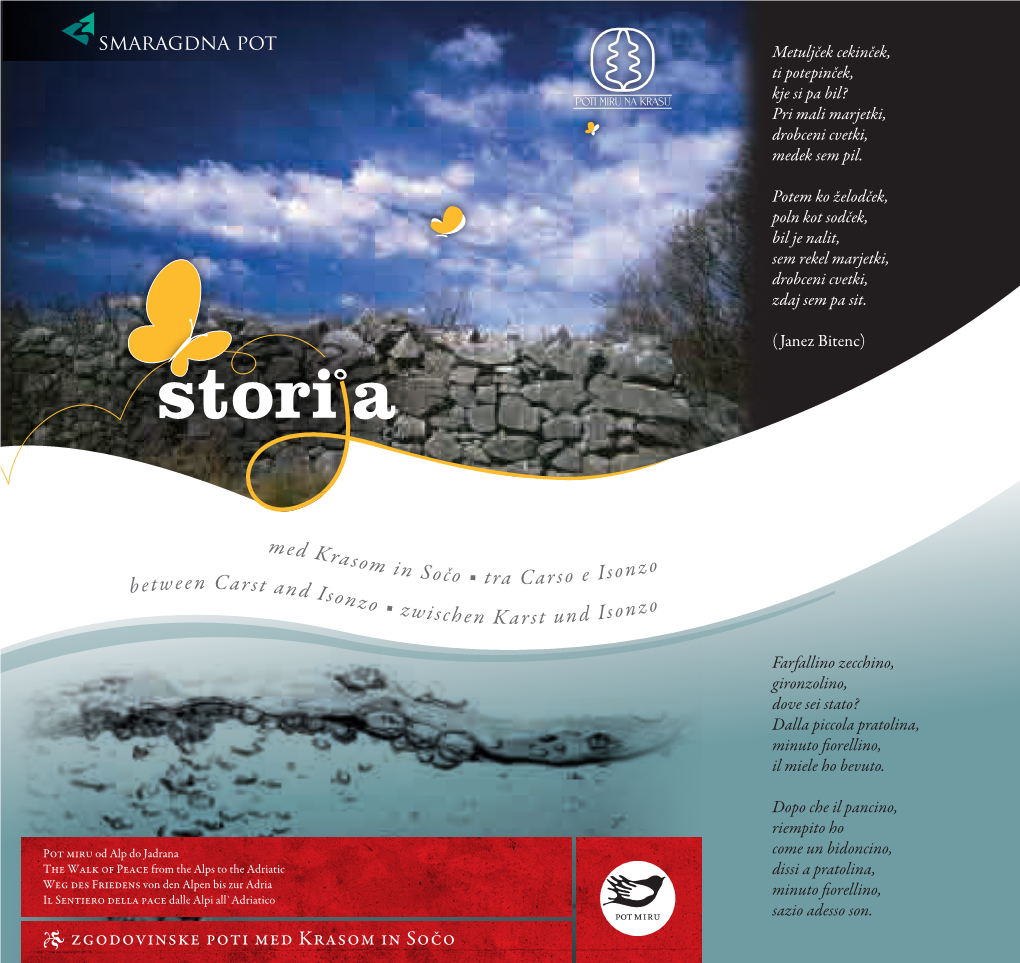 Vodnik Storija Web.Pdf