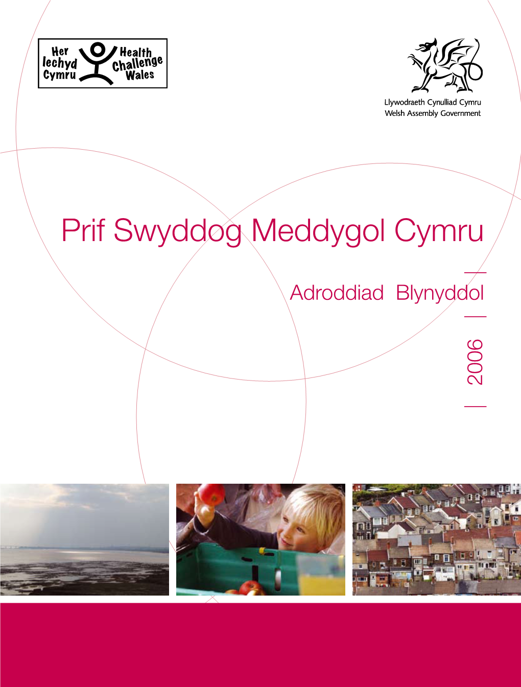 Adroddiad Blynyddol Prif Swyddog Meddygol Cymru 2006