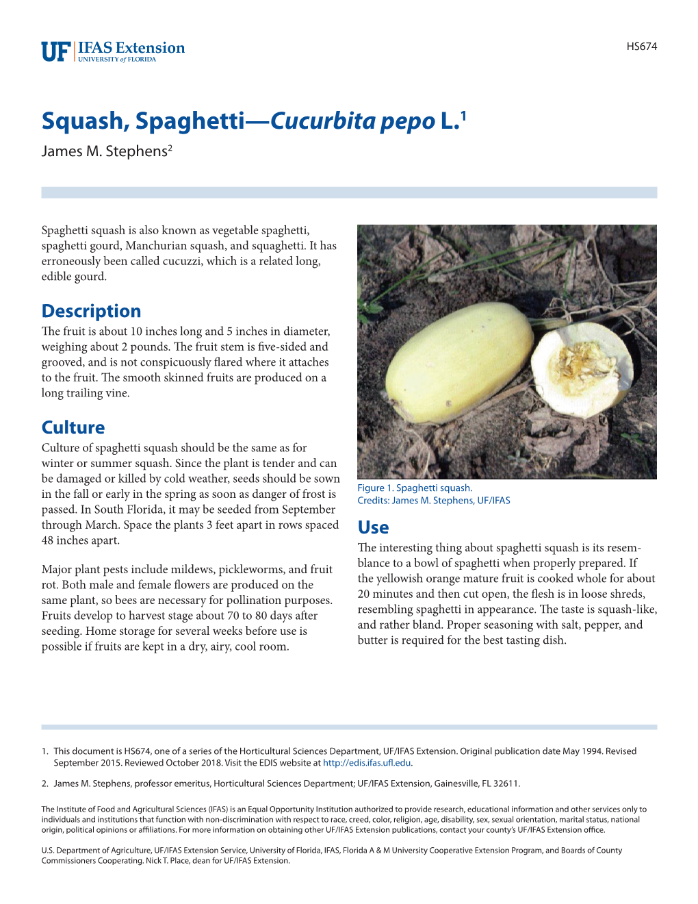 Squash, Spaghetti—Cucurbita Pepo L.1 James M