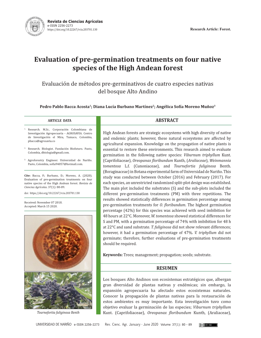 Evaluation of Pre-Germination Treatments on Four Native Species of the High Andean Forest