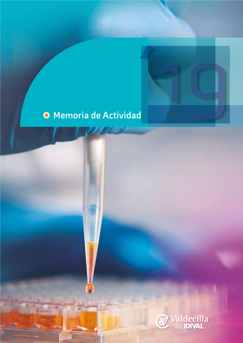 Memoria 2019, El Plan De Actuación 2019, Los Presupuestos De IDIVAL 2019 Y Ha Realizado Evaluación De Seguimiento De Cinco Grupos IDIVAL