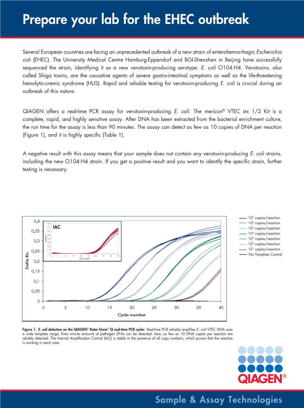 Informational Flyer on the Mericon VTEC Stx 1/2 Assay