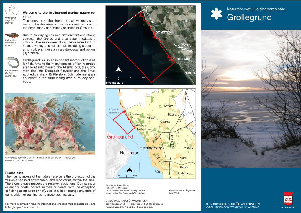 Grollegrund Marine Nature Re