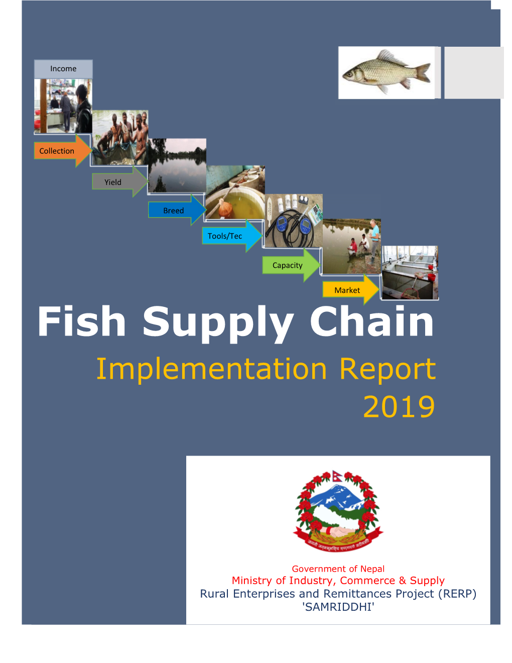 Fish Supply Chain Implementation Report 2019